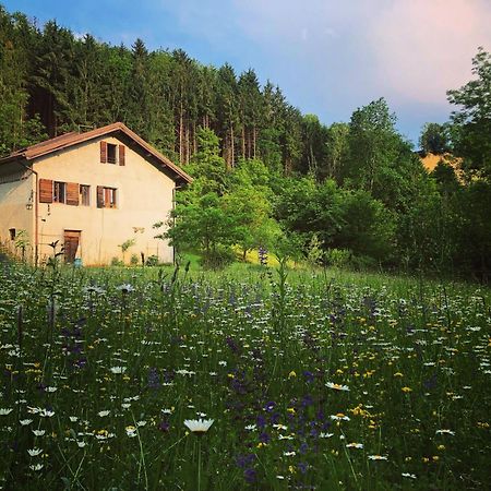 Alla Casetta B&B Cesiomaggiore Exterior foto